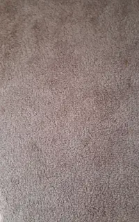 موکت کاملا تمیز نو