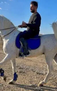 اسب روزگاری