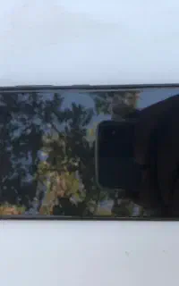 a33