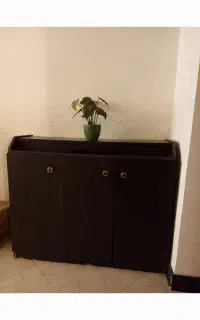 جاکفشی