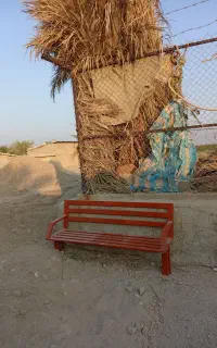 سته نخل