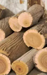 خریدار چوب صد در صد نقد