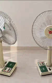 پنکه