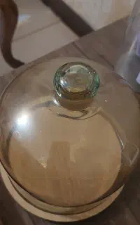 ظرف جا کیک و شیرینی
