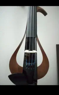 نوازنده ویولن هستم