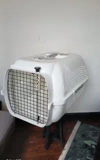 باکس حمل سگ و گربه