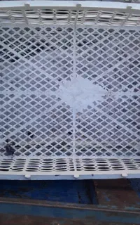 فروش سبد انگور 8کیلویی