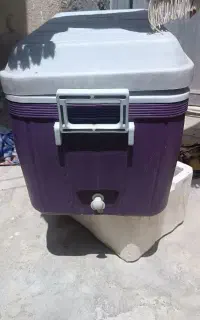 کلمن ماهی گوشت ۶۰لیتری