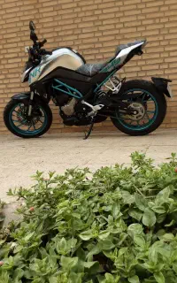 موتور سی اف ۲۵۰ فوق العاده تمیز در حد صفر