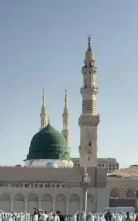 فیش عمره