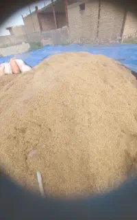 کاه درجه یک تمیز
