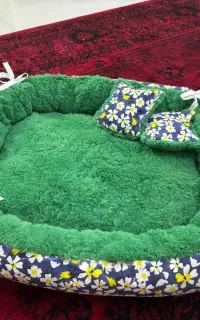 جای خواب گربه و سگ