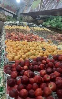 کارگر جهت کار در میوه فروشی
