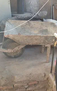 فرقون