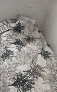 تخت . تشک . کنار تختی