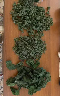 وسایل گل سازی