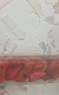 آینه(جاحوله وجامسواکی)،پرده،وکپسول گاز