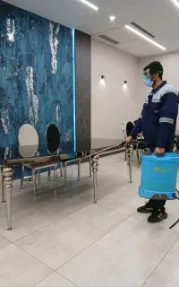 سمپاشی با مجوز تضمینی سوسک ساس موش سم پاشی حشرات