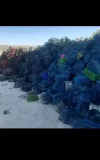 شاگرد