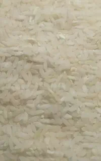 برنج چم پا خانمیرزا