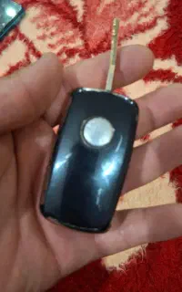 پیدا شده