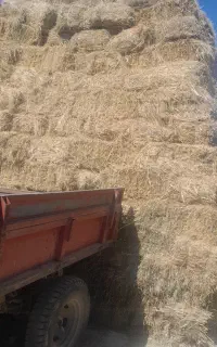 پرس علوفه برای دام