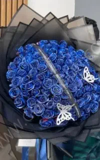 با ما لحظه هاتون شاد کنید