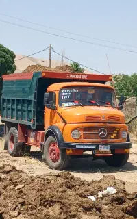 کود حیوانی گوسفندی سوخته