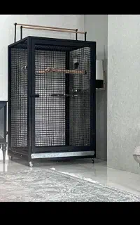 فعالیت داوطلبانه هر کاری که فکرشو میکنی