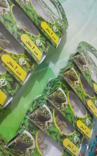 هل  تازه با عطر عالی