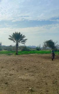 نیازمند کارگر چوپان(حداقل ۵سال سابقه)