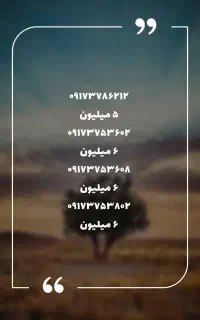 ۰۹۱۷۳۷۸۶۲۱۲