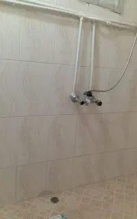 سوئیت