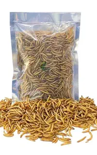 کرم میلورم پروتئین