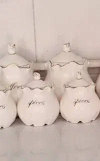 سرویس پاسماوری