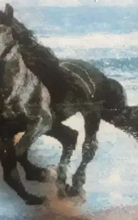 معاوضه تابلو فرش دستباف با گوشی اندروید