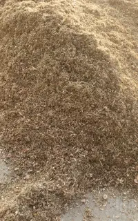 علوفه حدود یک تن