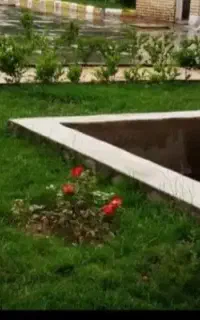 خدمات باغبانی وسمپاشی