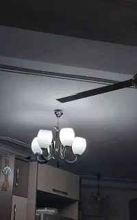 ۵شاخه