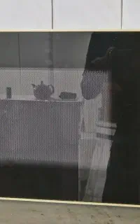 ماکروفر فلر آلمان