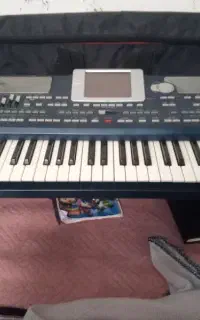 korg pa800دارای mp3رم 256