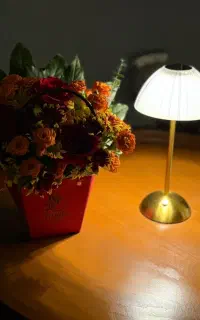 اباژور شارژی