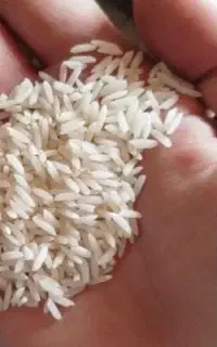 برنج و نیم دانه هاشمی