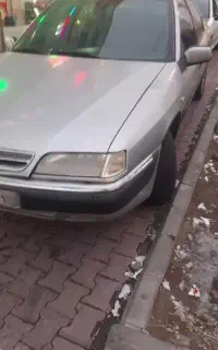 زانتیا۸۵
