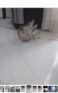 لاله ی لوستر