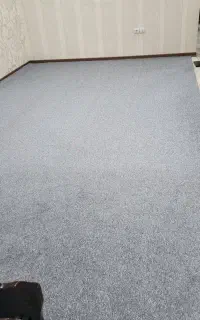 موکت پالاز