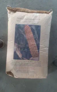 انواع بذر ذرت  ایرانی و خارجی