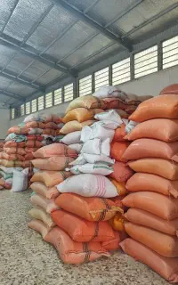 کیسه 80 کیلویی برنج دست دوم