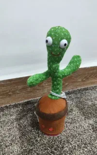 کاکتوس سخنگو پخش آهنگ