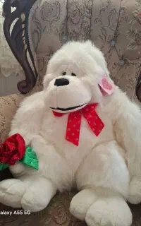 عروسک خارجی پولیشی